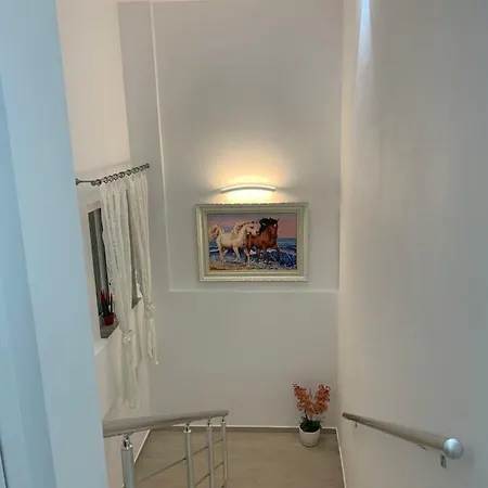 Orkidea Guest house